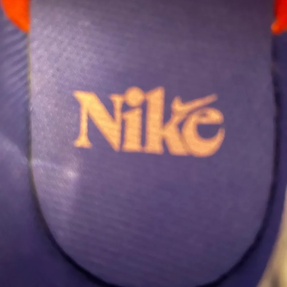 Kids' Exclusive Nike Dunk Low SE Everything You Need - Size 4Y